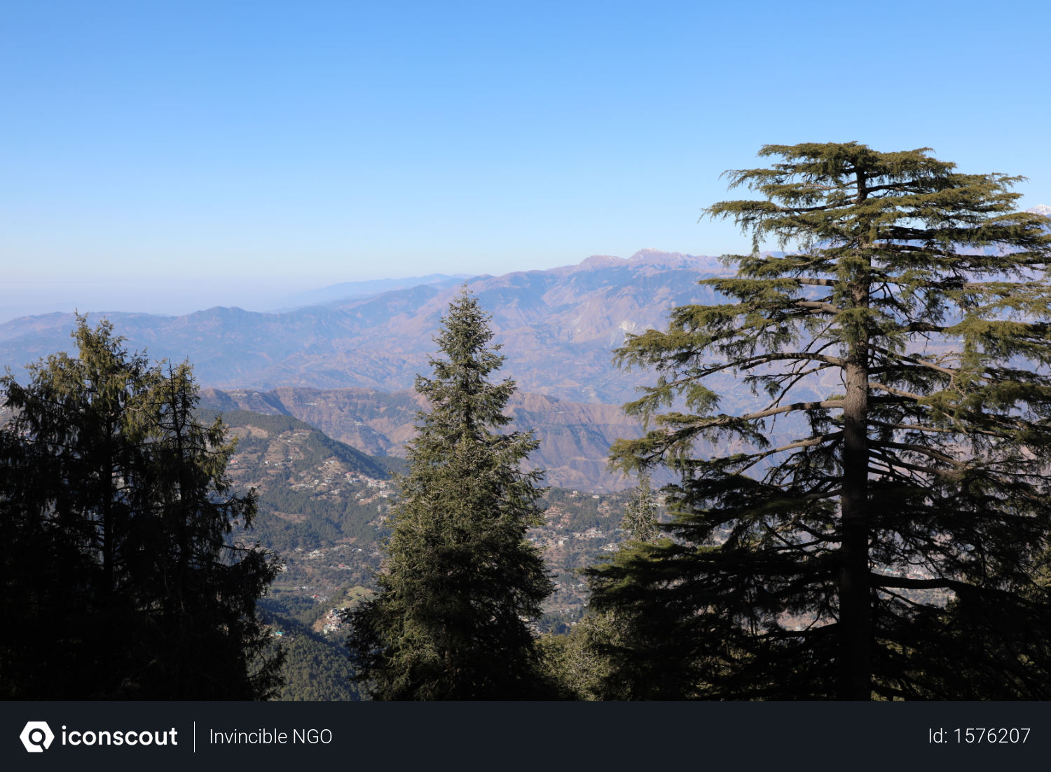 Free Beautiful Pine Trees With Mountain Background Photo Download In Png Jpg Format