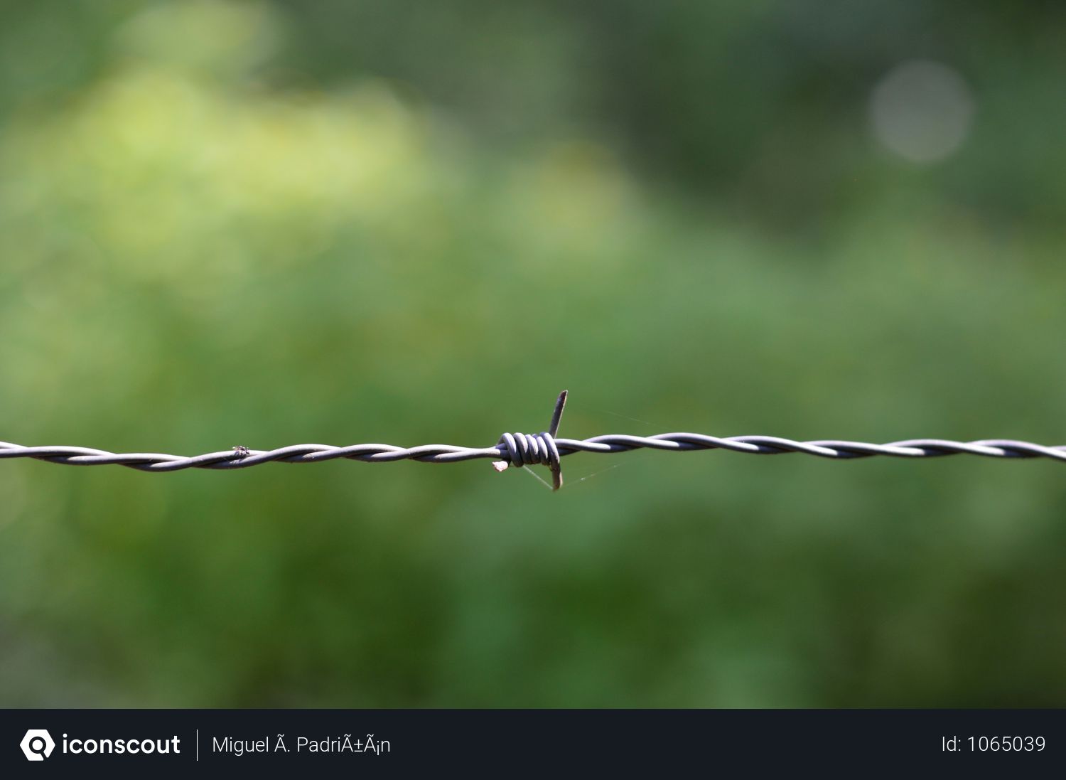 barbed wire id