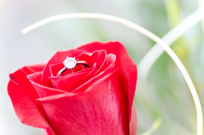 Abstract, Anniversary, Aroma Photo