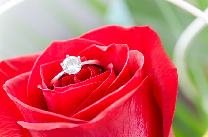 Abstract, Anniversary, Aroma Photo