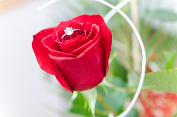 Abstract, Anniversary, Aroma Photo