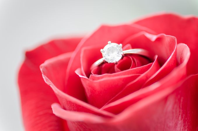Abstract, Anniversary, Aroma Photo