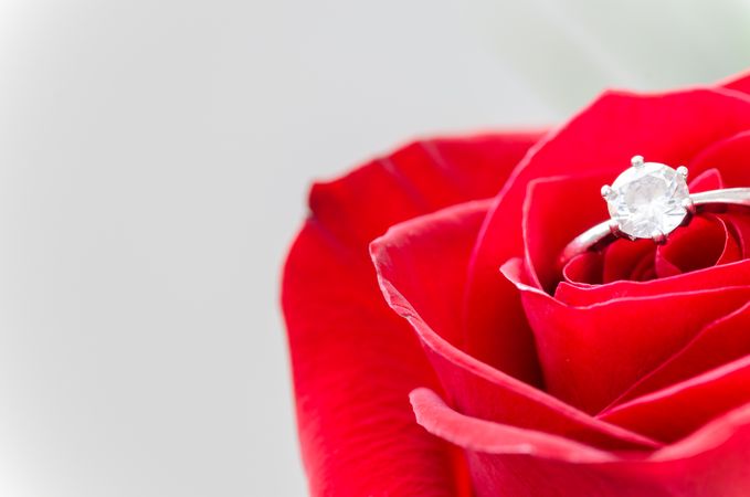 Abstract, Anniversary, Aroma Photo