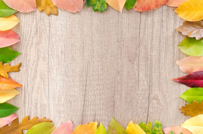 Abstract, Autumn, Background Photo
