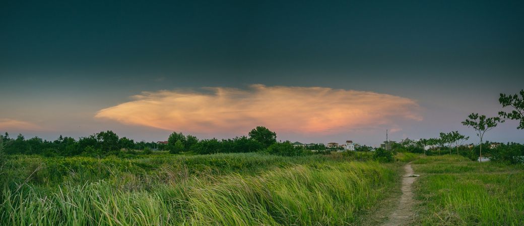 Agriculture Field Countryside Photo