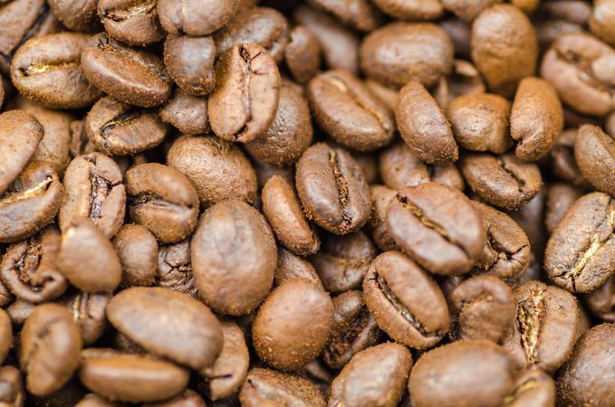 Aromatic Coffee Beans Photo