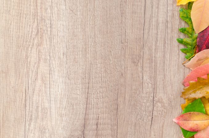 Autumn Leaves On Wooden Table Photo