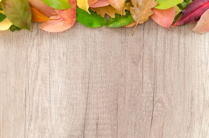 Autumn Leaves Upper Side On Wooden Table Photo