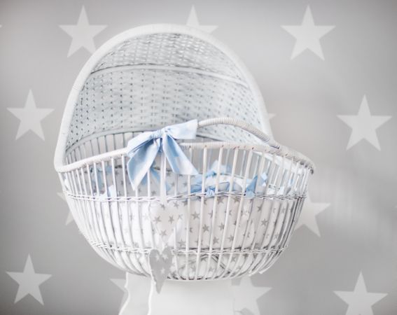 Baby's White And Gray Star Printed Bassinet Photo