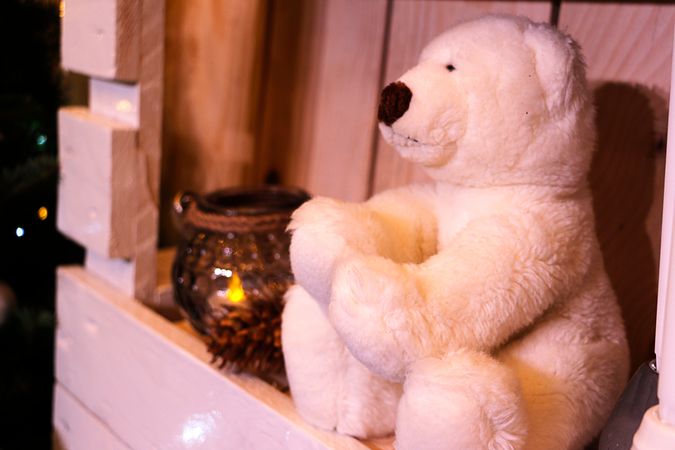 Bear Toy On Wooden Rack Photo