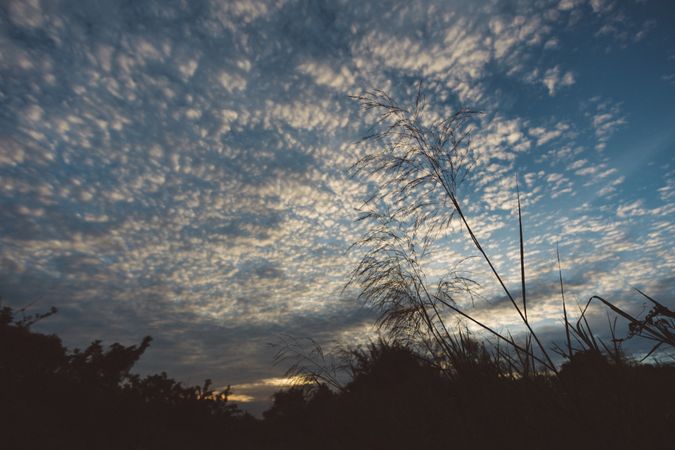 Beautiful Blue Cloudy Sky Photo