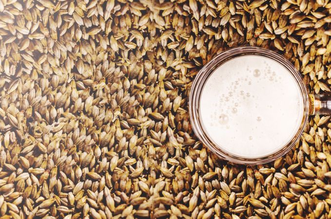 Beer In Beer Glass Photo
