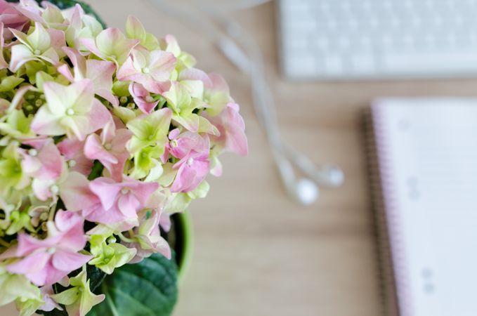 Blooming Flower Bouquet On Desk Photo