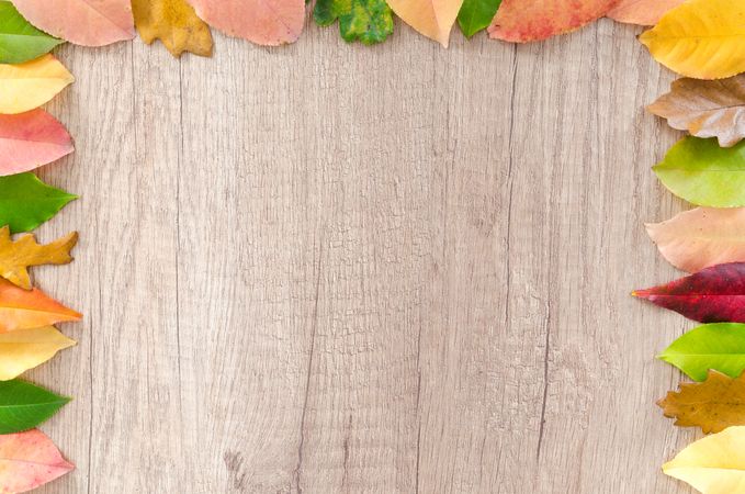 Borders Of Autumn Leaves Photo