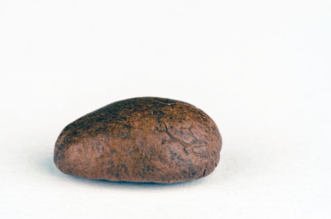 Brown And Black Stone Of Coffee Beans Photo