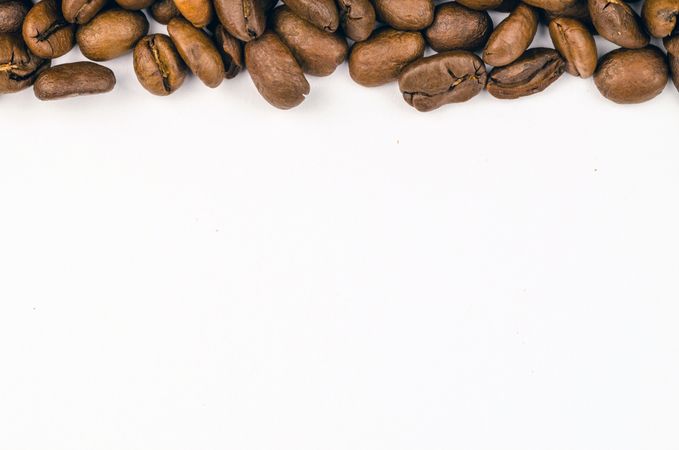 Brown Coffee Bean Photo