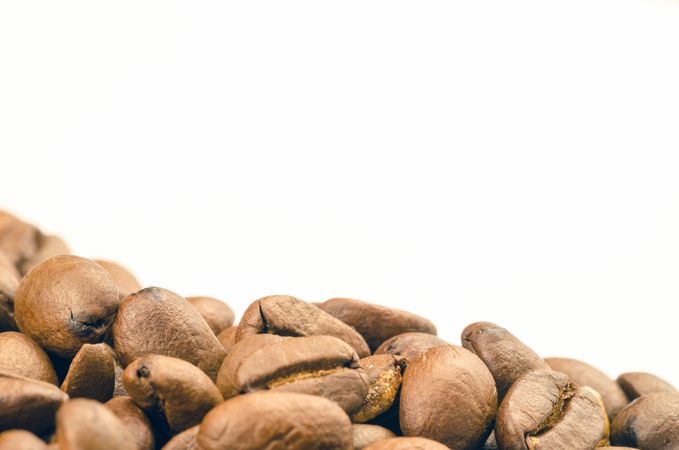 Brown Coffee Beans Photo