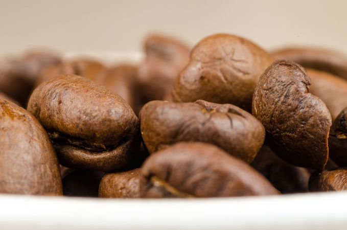 Brown Coffee Beans Photo