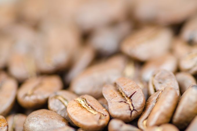 Brown Coffee Beans Photo
