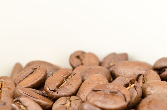 Brown Coffee Beans Photo