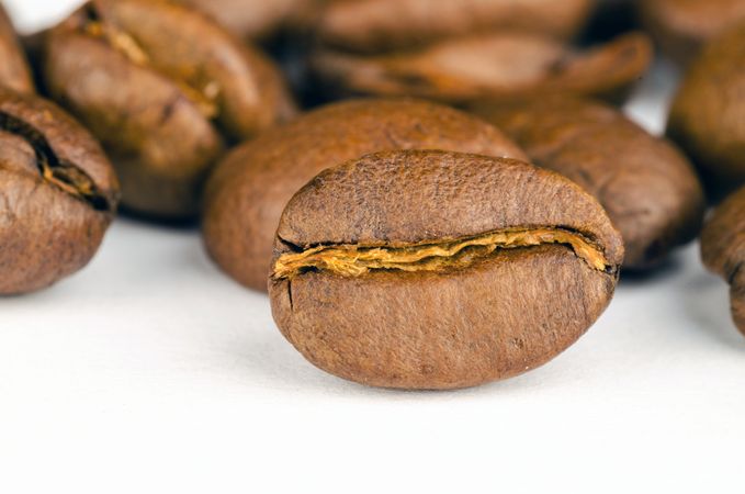 Brown Coffee Beans Lot Photo