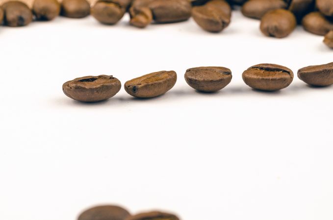 Brown Nut Lot Photo