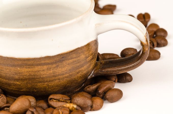 Brown Nuts And Brown Ceramic Tea Cup Photo