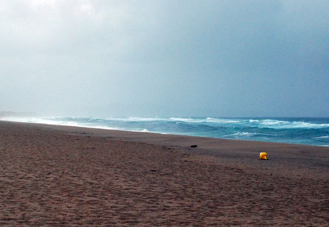 Brown Sand Near Body Of Water During Daytime Photo