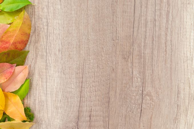 Brown Wooden Board With Dry Leaves On Left Side Photo