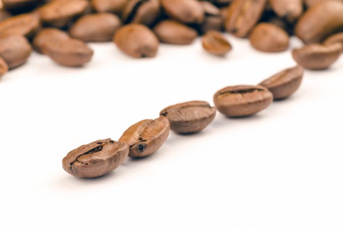 Bunch Of Coffee Beans Photo