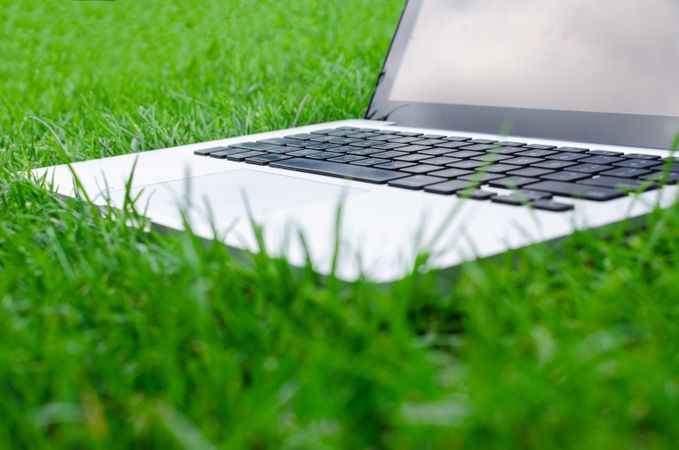 Business Laptop In Grarden Photo