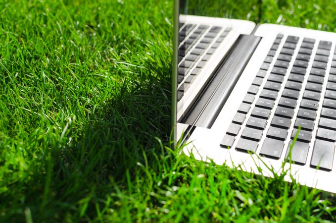 Business Laptop In Lawn Photo