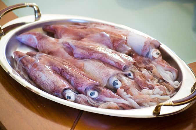 Calamari Animal In Plate Photo
