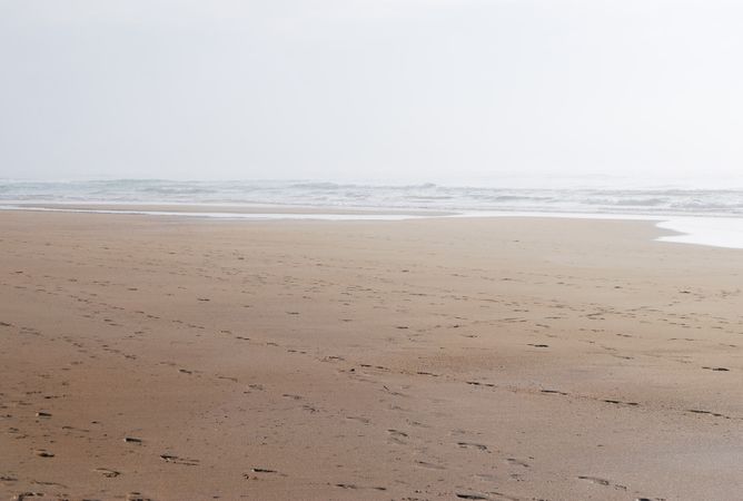 Calm Coast Photo