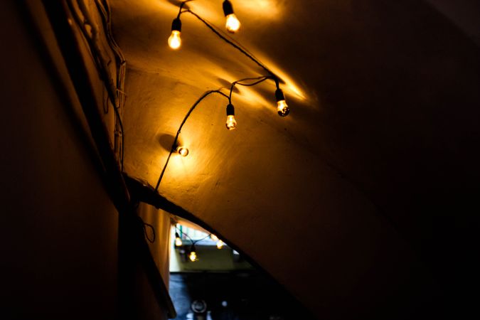 Christmas Lighting Photo