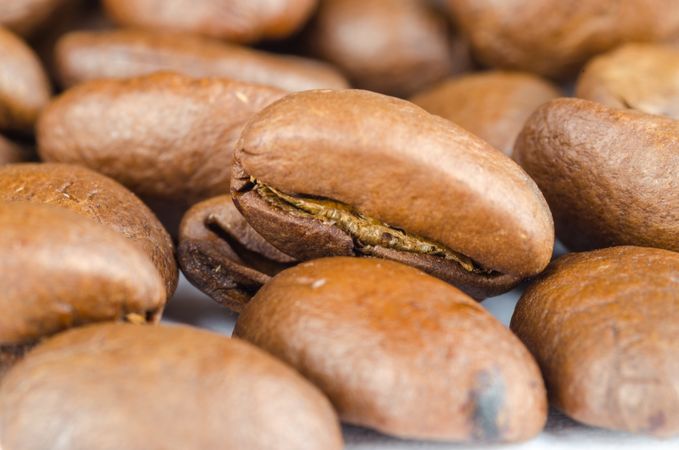 Close Up Brown Coffee Beans Photo