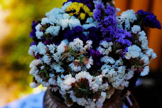 Close-up Of Flowers Bouquet Photo