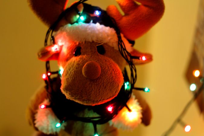 Close-up Of Illuminated Christmas Tree Photo