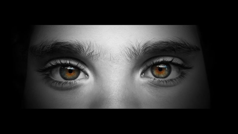 Close Up Photo Of Girls Eyes Photo