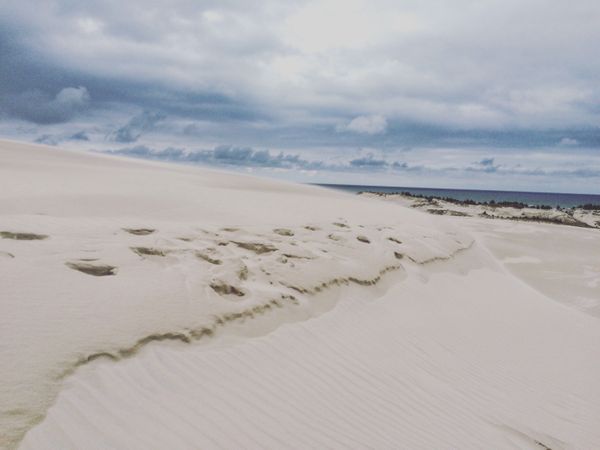 Close-up Photography Of Beach Photo