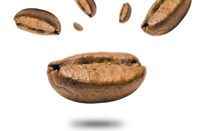 Closeup Photo Of Coffee Bean Photo