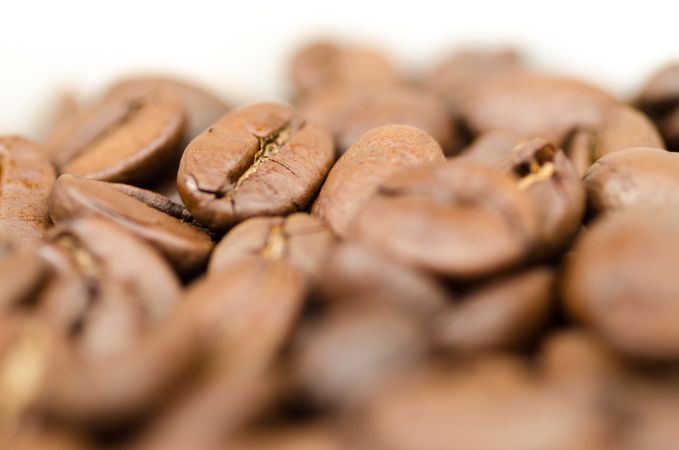 Closeup Photography Of Coffee Beans Photo
