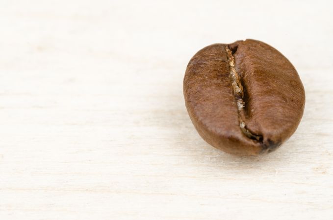Coffee Bean Photo