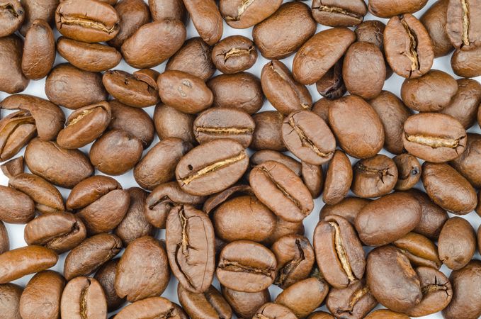 Coffee Beans Photo