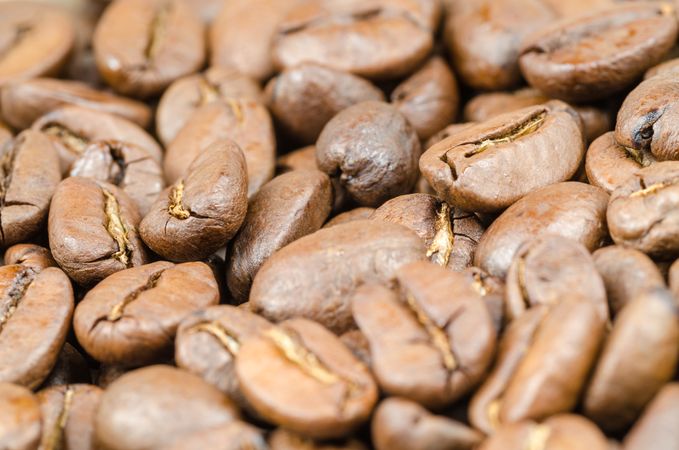 Coffee Beans Photo