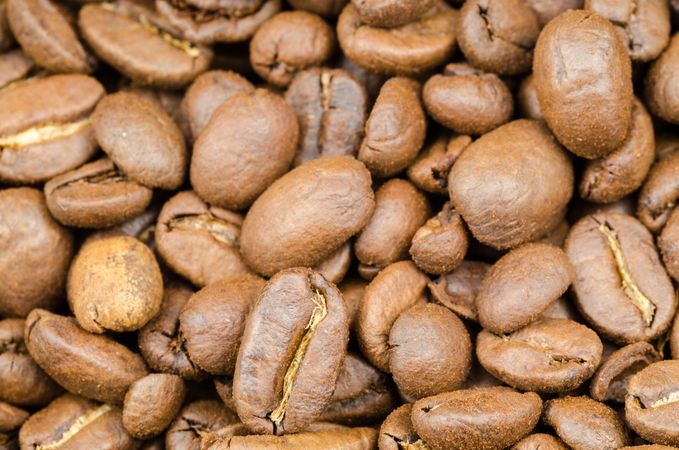 Coffee Beans Photo