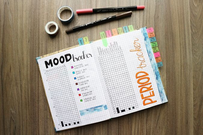 Daily Mood Tracker In Bullet Journal Photo