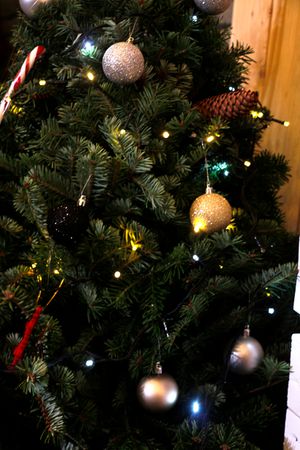 Decor Christmas Tree Photo