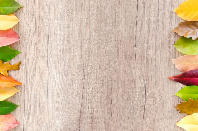 Decorative Colorful Leaves Of Brown Wooden Table Photo