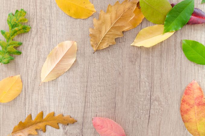 Different Shaped Dried Leaves On Brown Wooden Table Photo